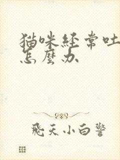 猫咪经常吐毛球怎么办