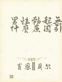 男性勃起无力是什么原因引起的