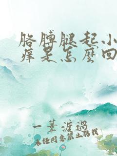 胳膊腿起小红点痒是怎么回事