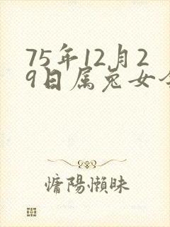 75年12月29日属兔女今年运气