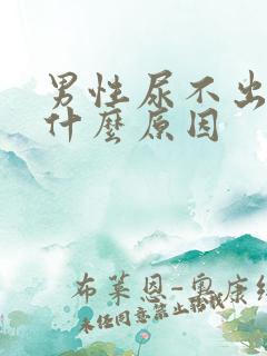 男性尿不出尿是什么原因