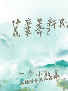 什么是新民主主义革命?