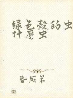 绿色壳的虫子是什么虫