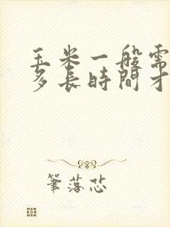 玉米一般需要煮多长时间才可以熟