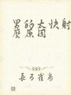 男的太快射是什么原因