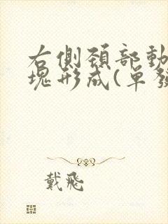 右侧颈部动脉斑块形成(单发)是什么意思