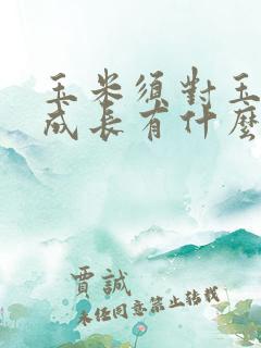 玉米须对玉米的成长有什么作用