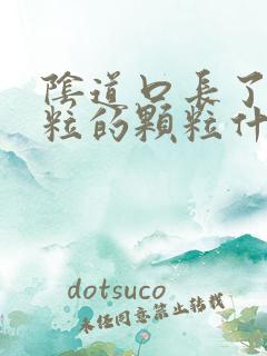 阴道口长了一粒粒的颗粒什么回事?