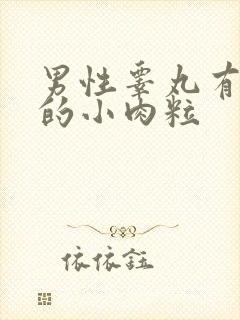 男性睾丸有白色的小肉粒