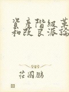 资产阶级革命派和改良派论战的主要问题