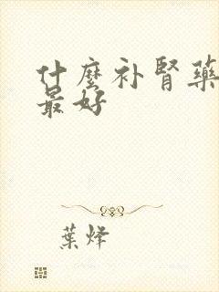 什么补肾药效果最好