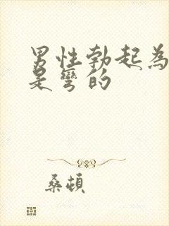 男性勃起为什么是弯的