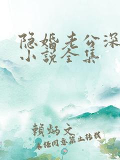 隐婚老公深夜来小说全集