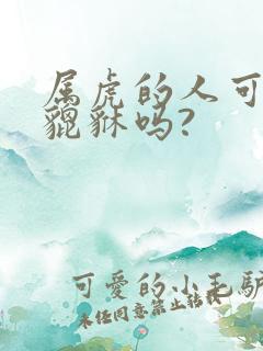 属虎的人可以带貔貅吗?