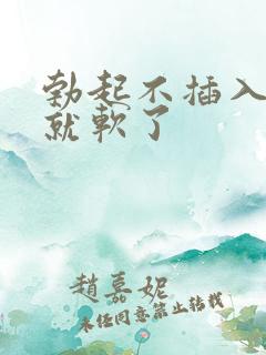 勃起不插入很快就软了