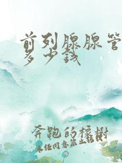 前列腺腺管疏通多少钱