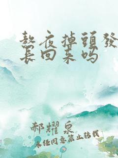 熬夜掉头发还会长回来吗