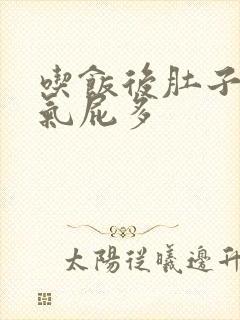 吃饭后肚子有胀气屁多