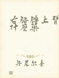 右胳膊上臂疼吃什么药