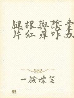 腿根与阴囊处成片红痒咋办