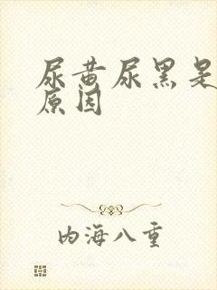 尿黄尿黑是什么原因