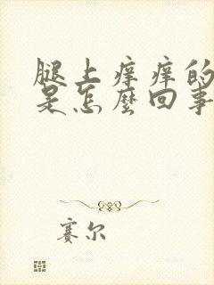 腿上痒痒的疙瘩是怎么回事