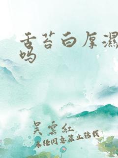 舌苔白厚湿气重吗