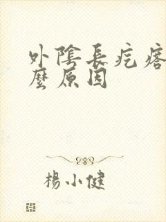 外阴长疙瘩是什么原因