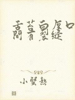 舌苔白厚口臭中间有裂缝