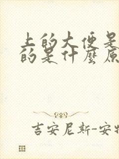 上的大便是黑色的是什么原因