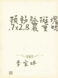 颈动脉斑块17.7x2.8严重吗