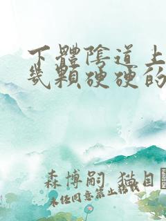 下体阴道上长了几颗硬硬的痘痘