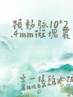 颈动脉10*2.4mm斑块严重吗