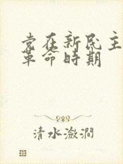 党在新民主主义革命时期