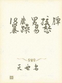 18岁男孩脾气暴躁易怒