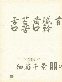 舌苔黄腻有齿痕口苦口干