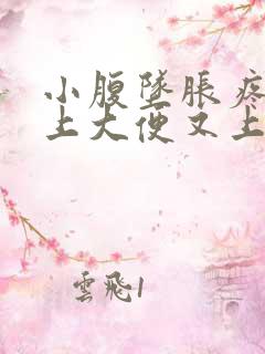 小腹坠胀疼痛想上大便又上不出