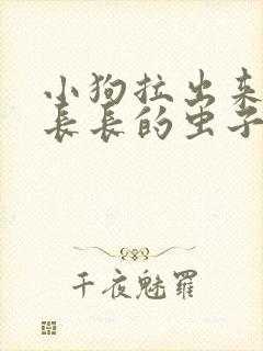 小狗拉出来白色长长的虫子图片