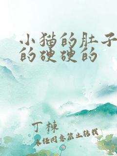 小猫的肚子鼓鼓的硬硬的