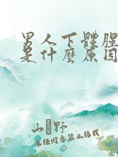 男人下体腥臭味是什么原因