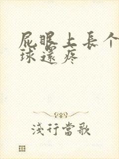 屁眼上长个小肉球还疼