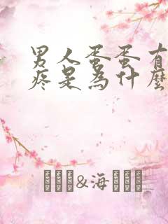 男人蛋蛋有时候疼是为什么