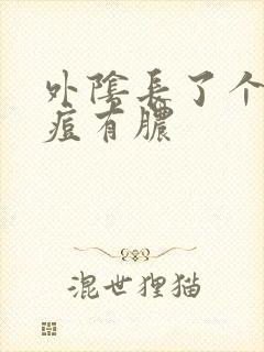 外阴长了个大痘痘有脓