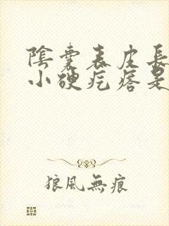 阴囊表皮长了个小硬疙瘩是怎么回事