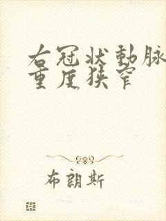 右冠状动脉近段重度狭窄