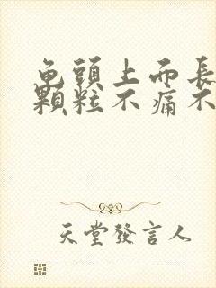 龟头上面长了小颗粒不痛不痒