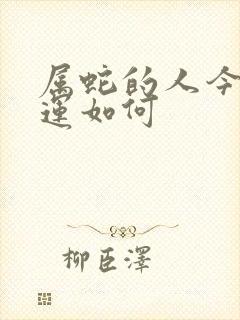 属蛇的人今天财运如何