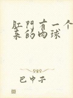 肛门有一个掉出来的肉球