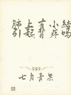 肺上有小结节会引起背疼吗