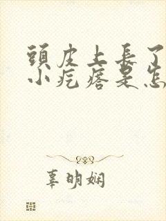 头皮上长了许多小疙瘩是怎么回事